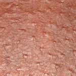 Sythetic Leather -- Ostrich Dark Brown