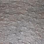 Sythetic Leather -- Ostrich Brown Black