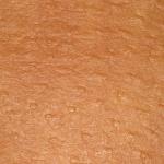 Sythetic Leather -- Ostrich Light Brown